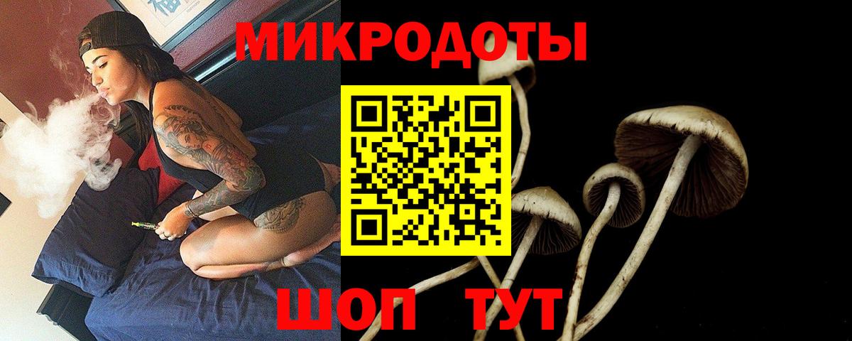 что такое наркотик  Галлюциногенные грибы Psilocybine cubensis  Вход с VPN  Чехов 